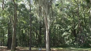 44 Clifton Drive thumbnail image 4
