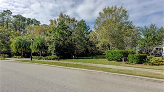 121 Lancaster Blvd thumbnail image 26