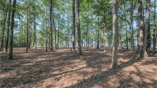 265 Good Hope Road thumbnail image 22