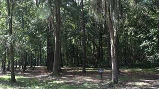 44 Clifton Drive thumbnail image 2