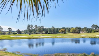 16 Arcadia Place thumbnail image 39