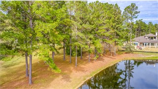 5 Arcadia Place thumbnail image 19