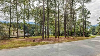 5 Arcadia Place thumbnail image 23