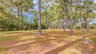 5 Arcadia Place thumbnail image 27