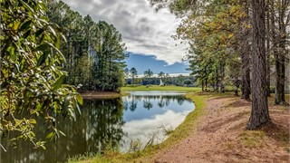 5 Arcadia Place thumbnail image 28