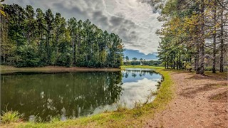 5 Arcadia Place thumbnail image 29