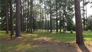 10 Arcadia Place thumbnail image 4