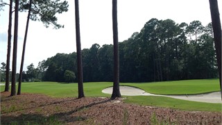 10 Arcadia Place thumbnail image 5