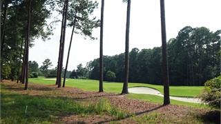 10 Arcadia Place thumbnail image 6