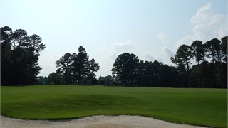 10 Arcadia Place thumbnail image 8