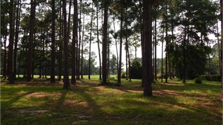 10 Arcadia Place thumbnail image 9