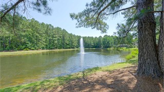 25 Bellereve Drive thumbnail image 43