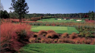 2 Spring Grove Circle thumbnail image 20