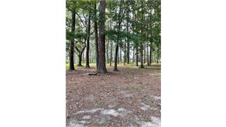 6 Spring Grove Circle thumbnail image 4