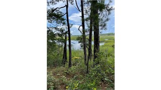 6 Spring Grove Circle thumbnail image 5