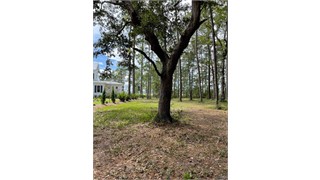 6 Spring Grove Circle thumbnail image 6