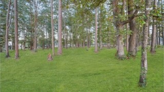 2 Spring Grove Circle thumbnail image 6