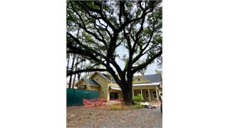 27 Bellereve Drive thumbnail image 4