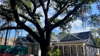27 Bellereve Drive thumbnail image 2