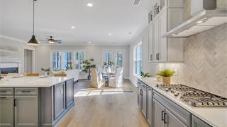 62 Clifton Drive thumbnail image 37