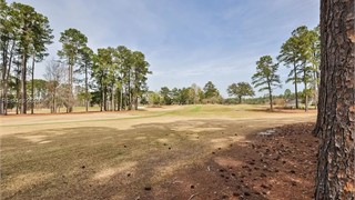 6 Arcadia Place thumbnail image 6