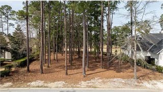 6 Arcadia Place thumbnail image 7