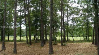 60 Clifton Drive thumbnail image 2