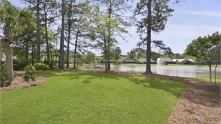 85 Clifton Drive thumbnail image 23