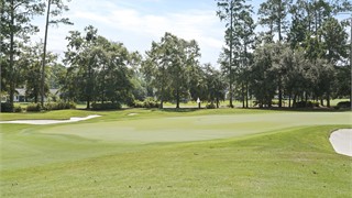 14 Rice Hope Court thumbnail image 71