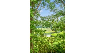 48 Belle Reve thumbnail image 71
