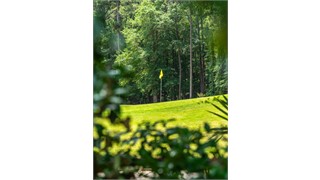 4 Bellfield Court thumbnail image 50