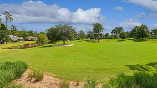 196 Good Hope Drive thumbnail image 106